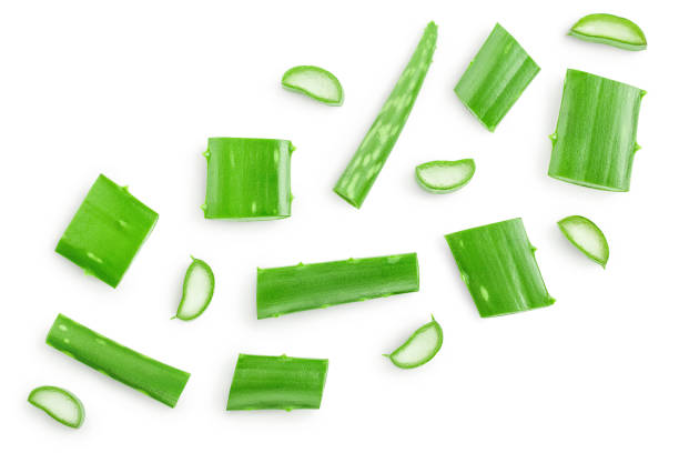 istock Aloe vera sliced isolated on white background. Top view. Flat lay. 1200760352