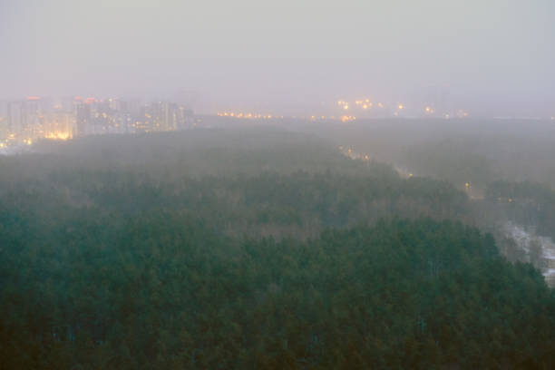 istock Blurred background with a forest in a snowstorm and the city behind it 1200766495