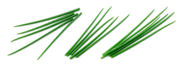 istock Chives isolated. Young green onion. Scallion. Collection. Flat lay. Top view. 1200767793