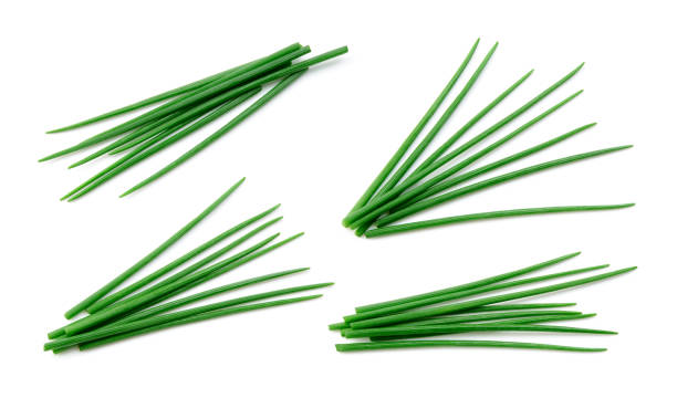 istock Chives isolated. Young green onion. Collection. Flat lay. Top view. 1200767845
