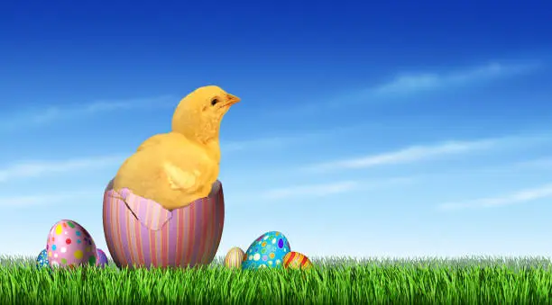 Easter chick egg hunt and happy spring holiday celebration with decorated eggs on grass as a cute hatchling emerging from a painted egg ona blue sky with 3D illustration elements.
