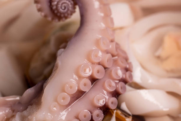 istock Wet shiny octopus tentacles, seafood in a jar, macro photography 1200772532