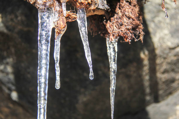 Icicles hanging off wood stock photo