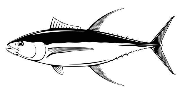 ilustraciones, imágenes clip art, dibujos animados e iconos de stock de atún de aleta amarilla - tuna sea underwater fish