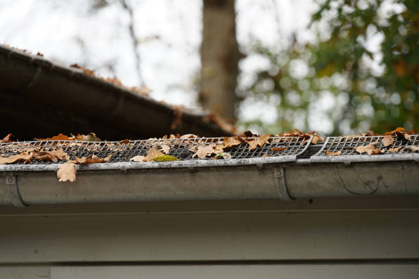 istock Roofing with different materials is overgrown with moss and other plants 1200775253