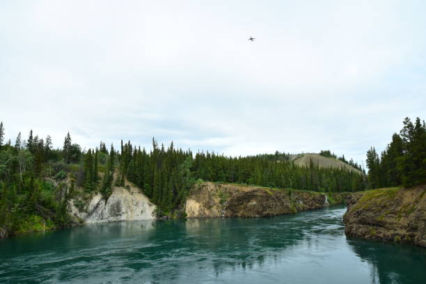 The Yukon River and Miles Canyon The Yukon River flows through Miles Canyon in Whitehorse, Yukon, Canada. yukon river canyon yukon whitehorse stock pictures, royalty-free photos & images