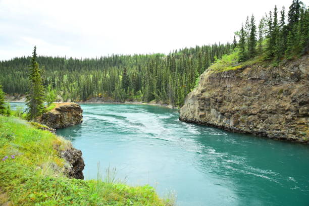 istock The Yukon River and Miles Canyon 1200776665