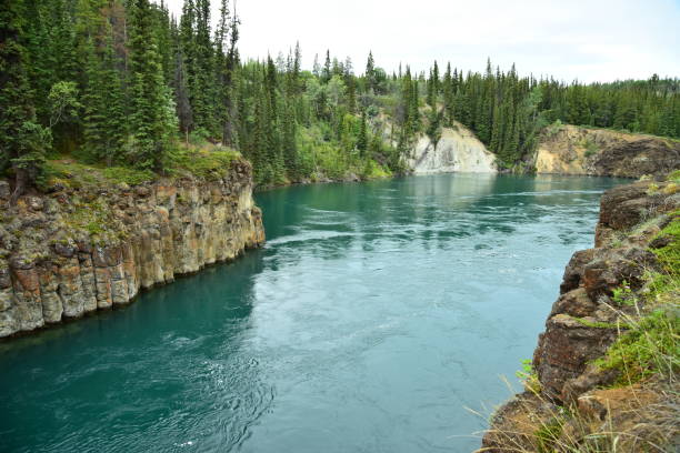 The Yukon River and Miles Canyon The Yukon River flows through Miles Canyon in Whitehorse, Yukon, Canada. yukon river canyon yukon whitehorse stock pictures, royalty-free photos & images