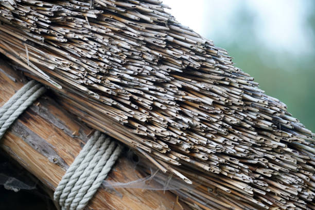 This is a roofing with different materials is overgrown with moss and other plants