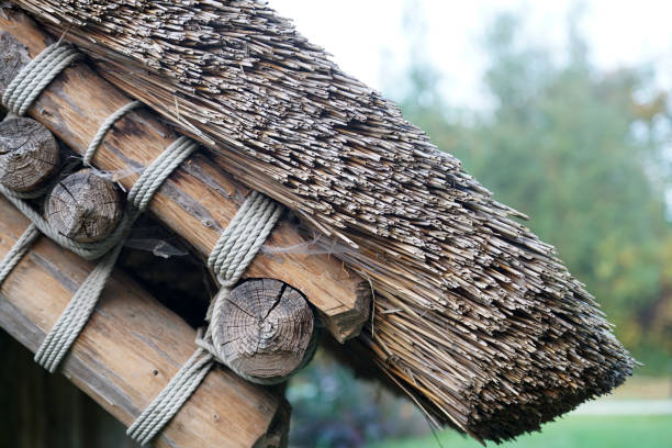 istock Roofing with different materials is overgrown with moss and other plants 1200776863