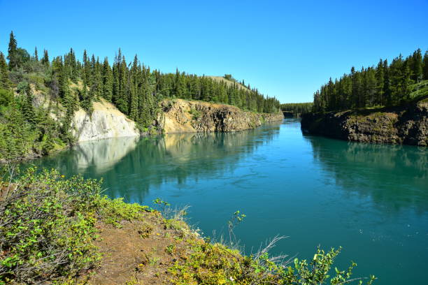 The Yukon River  and Miles Canyon The Yukon River flows through Miles Canyon in Whitehorse, Yukon, Canada. yukon river canyon yukon whitehorse stock pictures, royalty-free photos & images