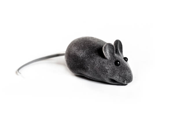 istock Gray pet toy mouse isolated on white background 1200780699