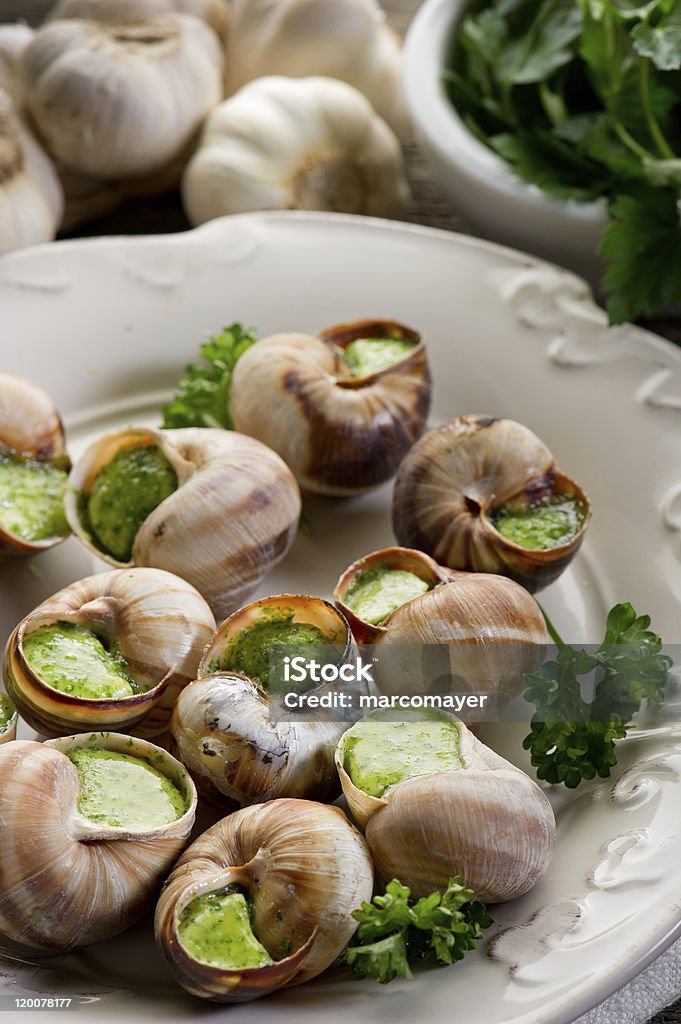 Burgundian snail bourguignonne snail au gratin on dish Animal Shell Stock Photo