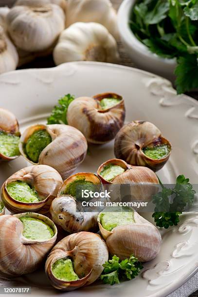 Burgundian Snail Stock Photo - Download Image Now - Animal Shell, Appetizer, Beef Bourguignon