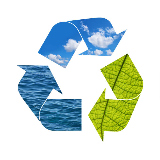 istock Illustration recycling symbol of nature elements 1200783667