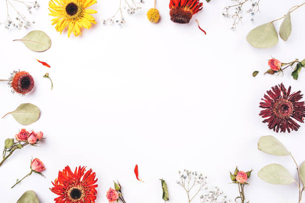 istock Frame of dry flowers on white background. 1200785974