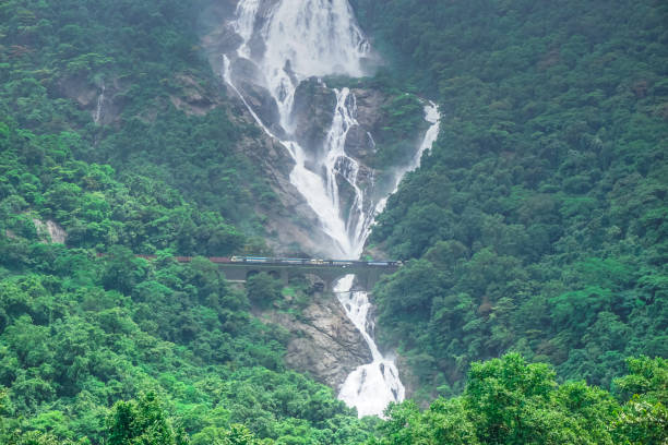 der riesige wasserfall dudhsagar und die eisenbahnbrücke, die durch ihn führt. karnataka, indien - locomotive steam train train snow stock-fotos und bilder