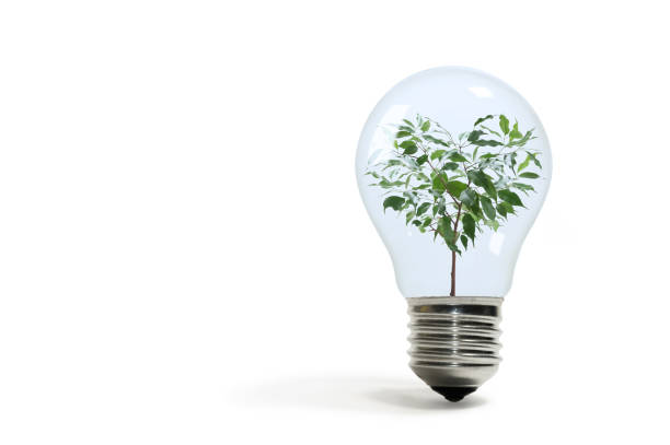 istock Concept of renewable energy. 1200790927