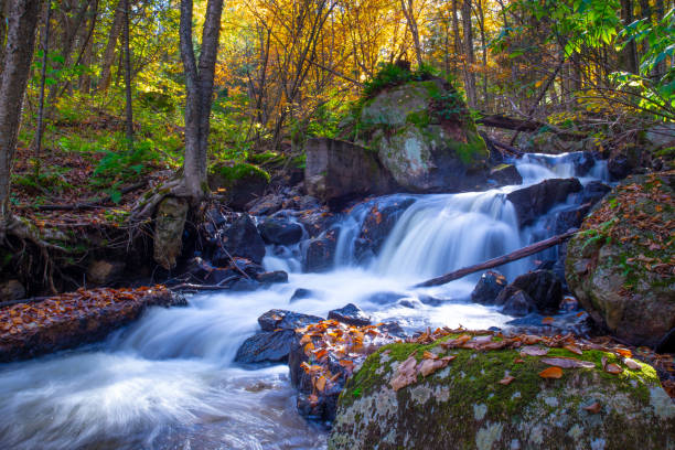 Waterfall in a Laurentian forest with motion blur, Quebec, stock photo