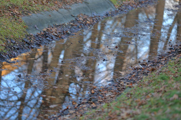 istock Reflection of a tree in the water of a shallow stream 1200791285