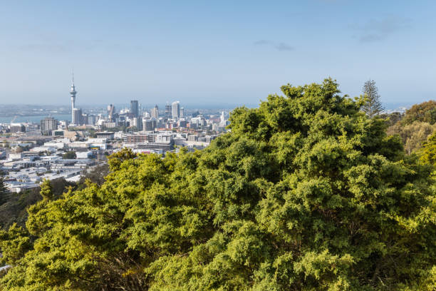 istock Auckland CBD skyline from Mount Eden with blue sky and copy space 1200795296