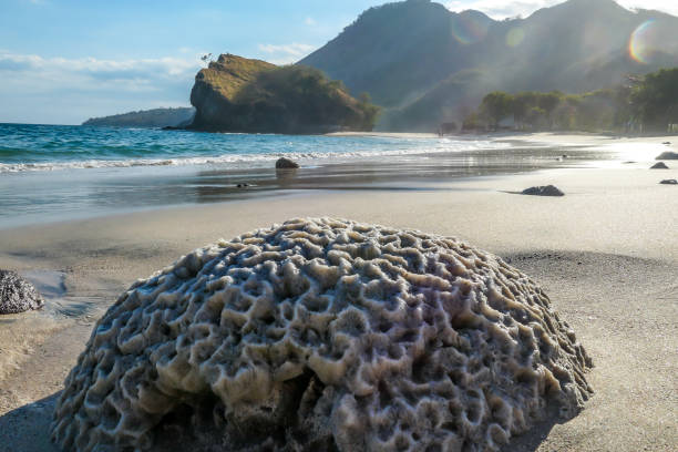 istock Koka Beach - Stones on the beach 1200797773