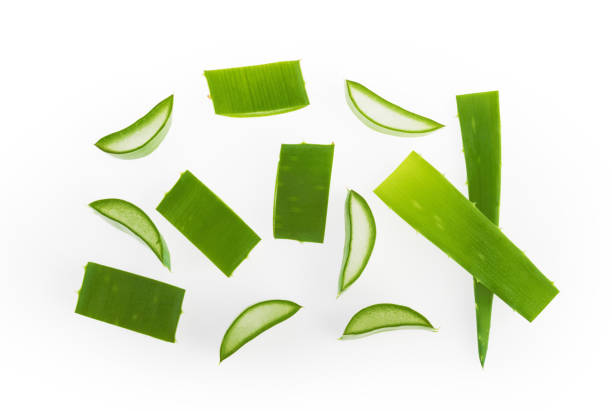 istock Aloe vera sliced plant isolated white background 1200798343