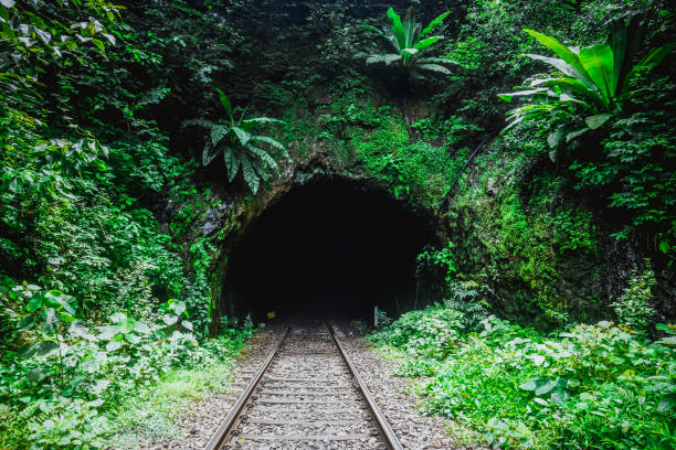 istock Wild railway tunnel in the jungle in Karnataka state. India 1200799838