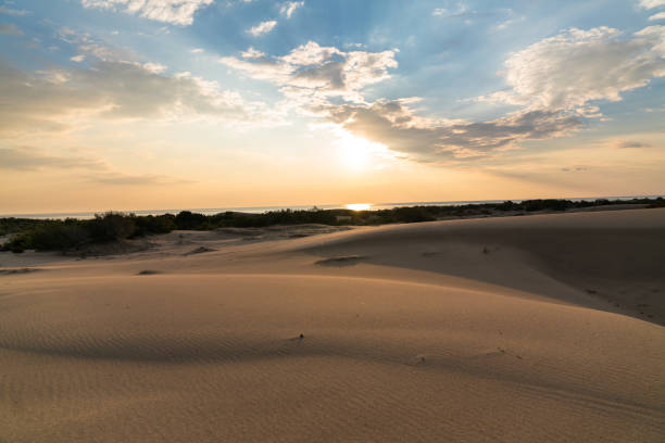 Stockton beach sand dunes on Pacific coast of Australia near Anna bay local town at sunset. Scenic cloudscape blurred in long exposure during scenic weather conditions over yellow sands.