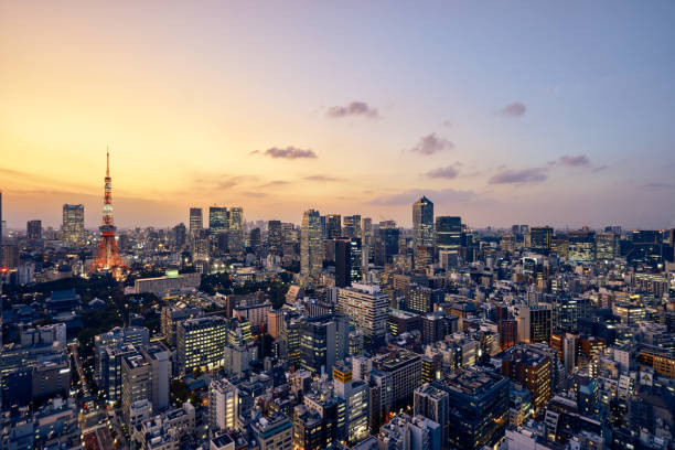 istock Tokyo, Japan skyline with the Tokyo Tower 1200805904