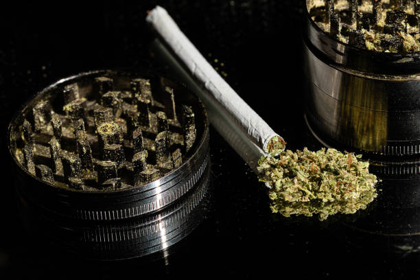 istock A spice Grinder is often used to prepare marijuana for rolling in a joint or smoking in a pipe or bowl.  A hand rolled joint with a grinder and a pile of ground marijuana 1200806237