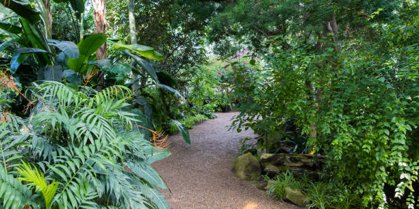istock The path through the botanical garden in Vienna 1200808198