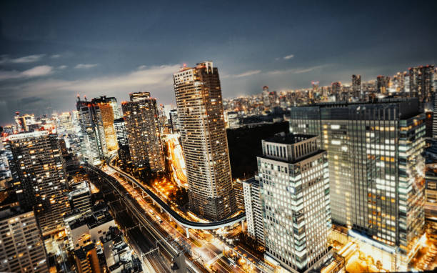 istock Tokyo, Japan skyline with the Tokyo Tower 1200809072