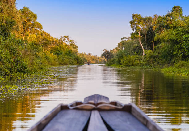 istock wetlands and fishery community 1200810229