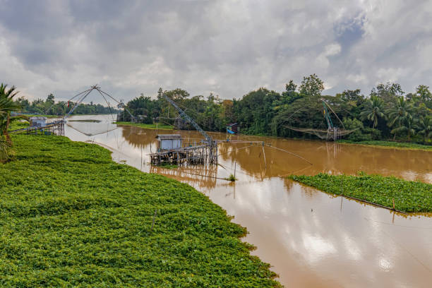 istock wetlands and fishery community 1200810252
