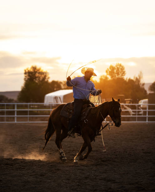 istock Cowboy warming up before event at a rodeo arena 1200812007