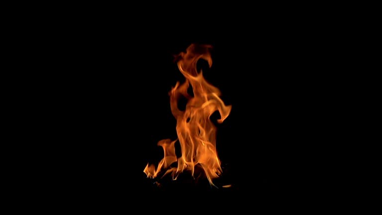 Fire burning (the background can be removed with a blending mode like add)