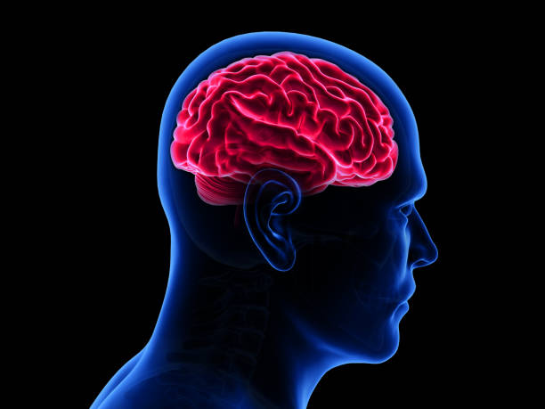 인간의 두통 개념, 빨간 빛나는 엑스레이 뇌, 인간의 두뇌 힘, 두통 - head pain healthcare and medicine ideas blue 뉴스 사진 이미지
