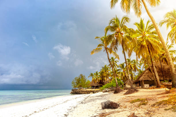 istock The beach in Zanzibar island. 1200825537