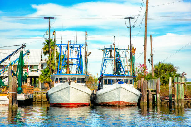 two shrimp boats - barco de pesca de camarões imagens e fotografias de stock