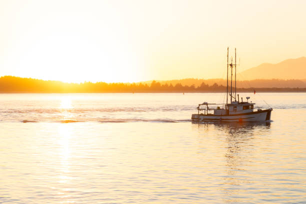 istock Fishing boat sailing during sunset. 1200830233