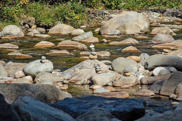 It’s an act of nature that one find when hiking a river path on a mountain side do the autumn.