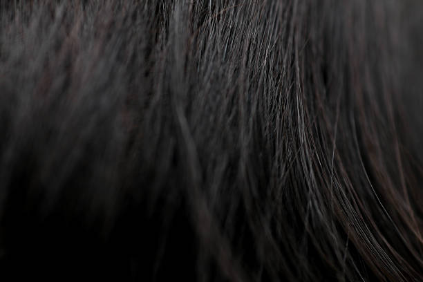 istock closed up and selective focus on hair 1200832922