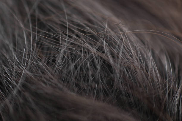 istock closed up and selective focus on hair 1200832979