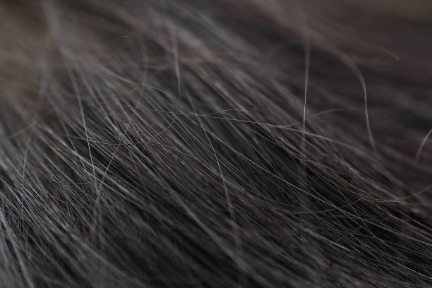 istock closed up and selective focus on hair 1200832988