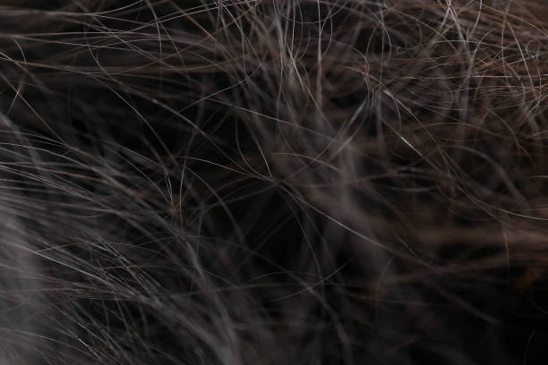 istock closed up and selective focus on hair 1200832989