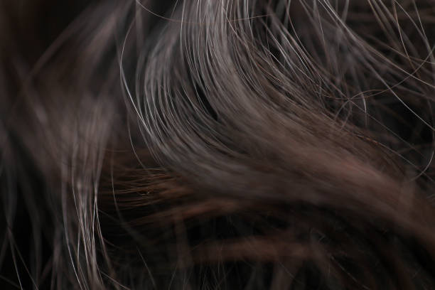 istock closed up and selective focus on hair 1200832998