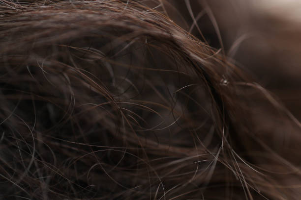 istock closed up and selective focus on hair 1200833049