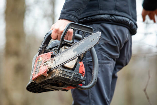 istock Lumberjack using a Gas-Powered Chain Saw cutting trees 1200835078