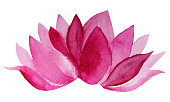 istock Watercolor hand-drawn pink flower lotus isolated on white background 1200835662